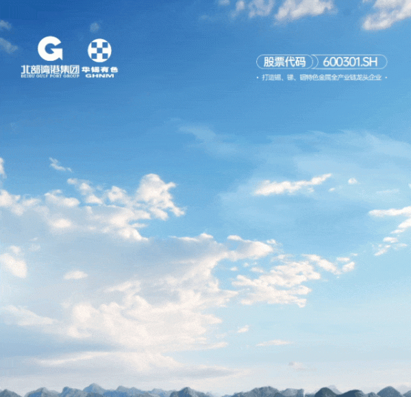工程配资 一图读懂丨华锡有色(600301.SH)2024年年度报告暨2025年一季度报告