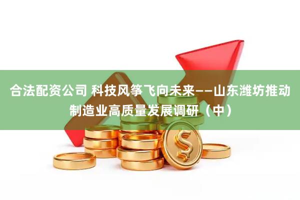 合法配资公司 科技风筝飞向未来——山东潍坊推动制造业高质量发展调研（中）